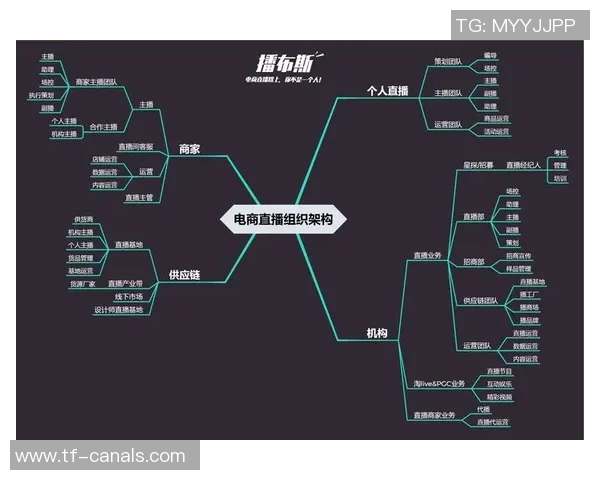 HBO直播：体育赛事回顾的四大优势解析